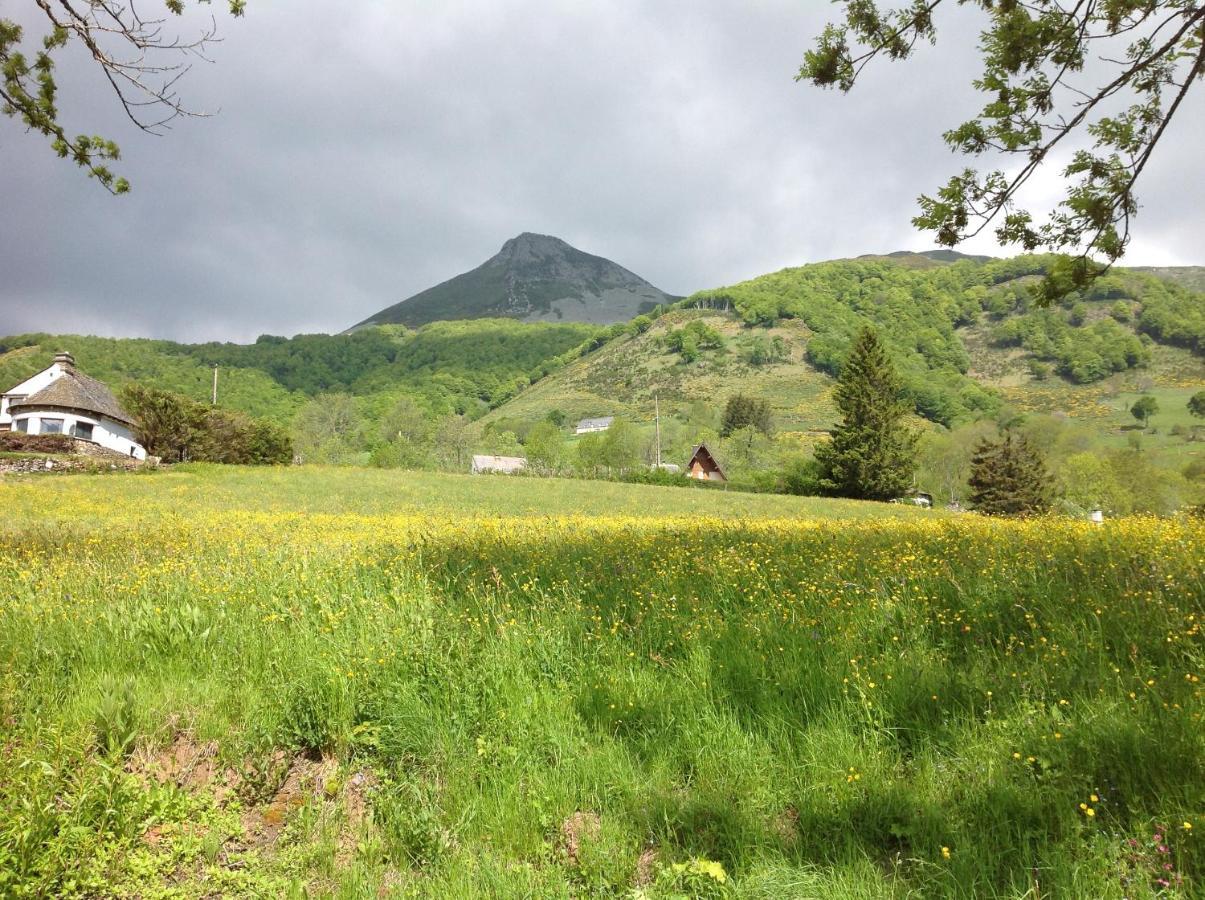 Chalet Avec Vue Panoramique Sur Le Plomb Du Cantal Villa Saint-Jacques-des-Blats Exterior photo