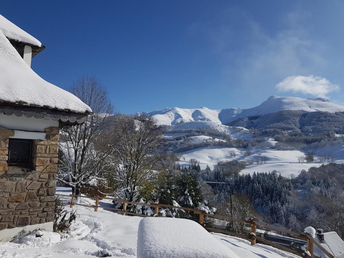 Chalet Avec Vue Panoramique Sur Le Plomb Du Cantal Villa Saint-Jacques-des-Blats Exterior photo