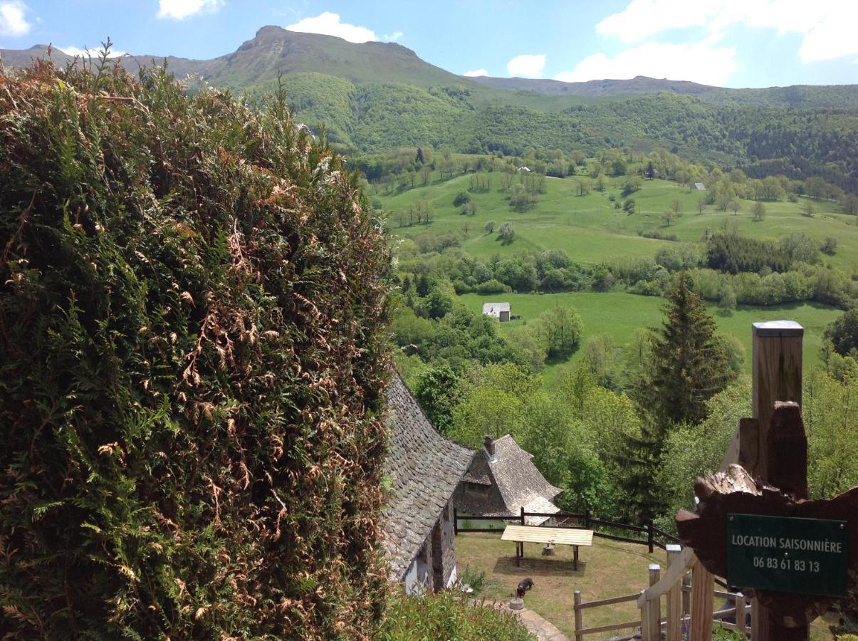 Chalet Avec Vue Panoramique Sur Le Plomb Du Cantal Villa Saint-Jacques-des-Blats Exterior photo