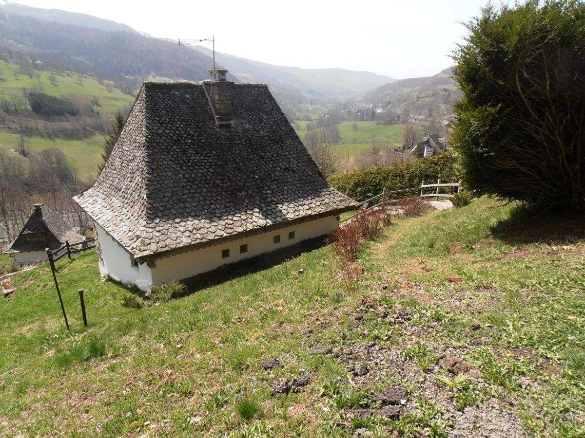 Chalet Avec Vue Panoramique Sur Le Plomb Du Cantal Villa Saint-Jacques-des-Blats Exterior photo