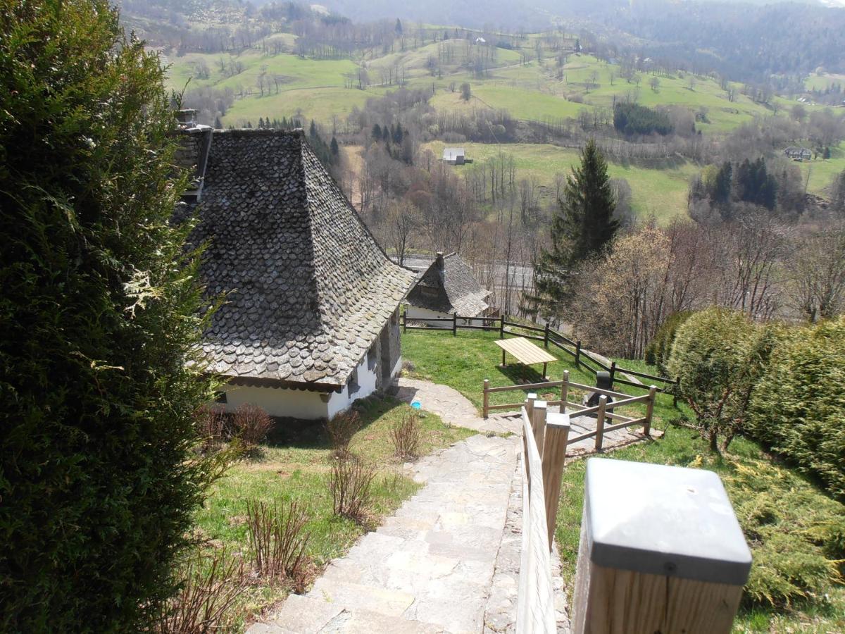 Chalet Avec Vue Panoramique Sur Le Plomb Du Cantal Villa Saint-Jacques-des-Blats Exterior photo