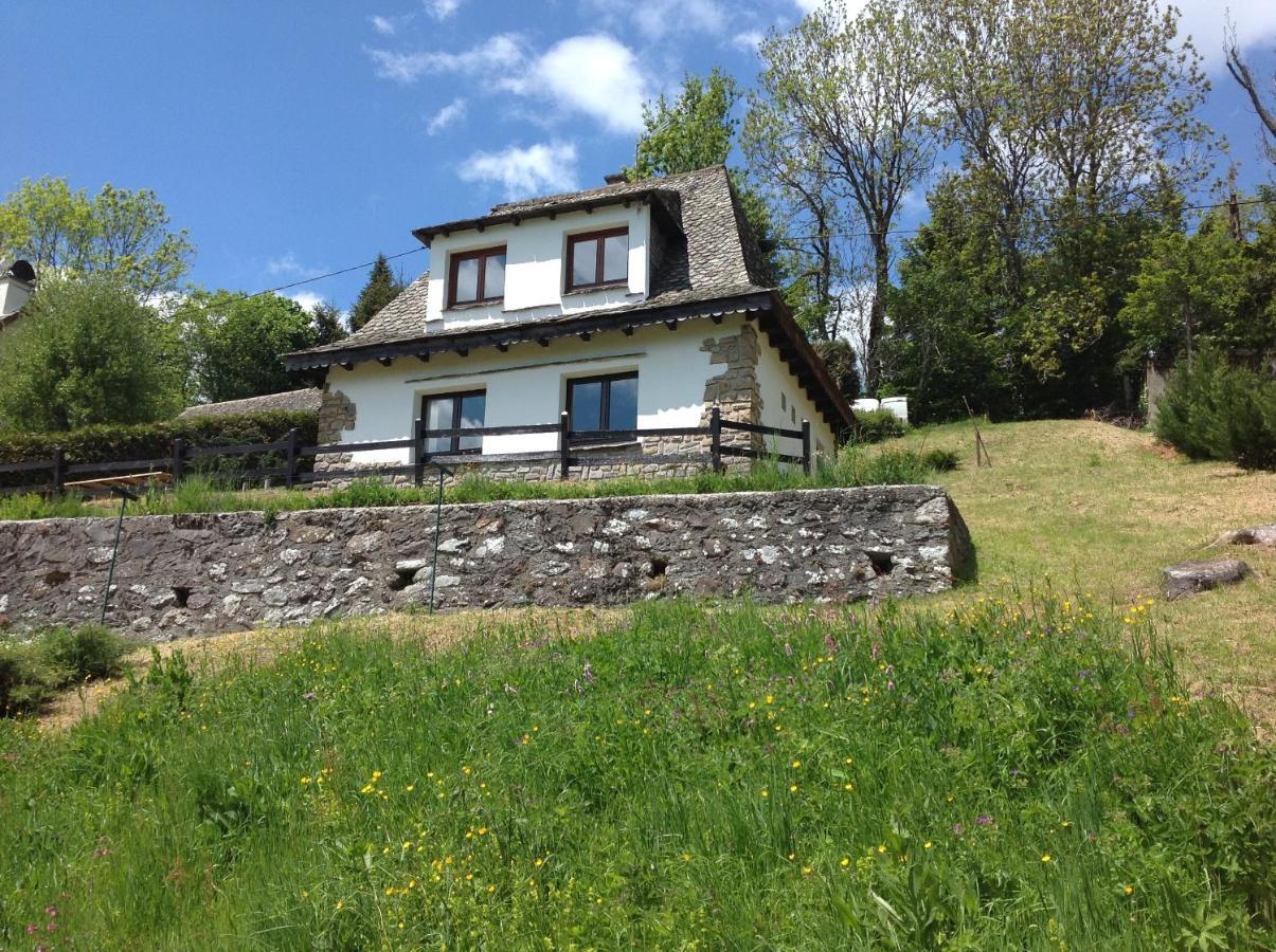 Chalet Avec Vue Panoramique Sur Le Plomb Du Cantal Villa Saint-Jacques-des-Blats Exterior photo