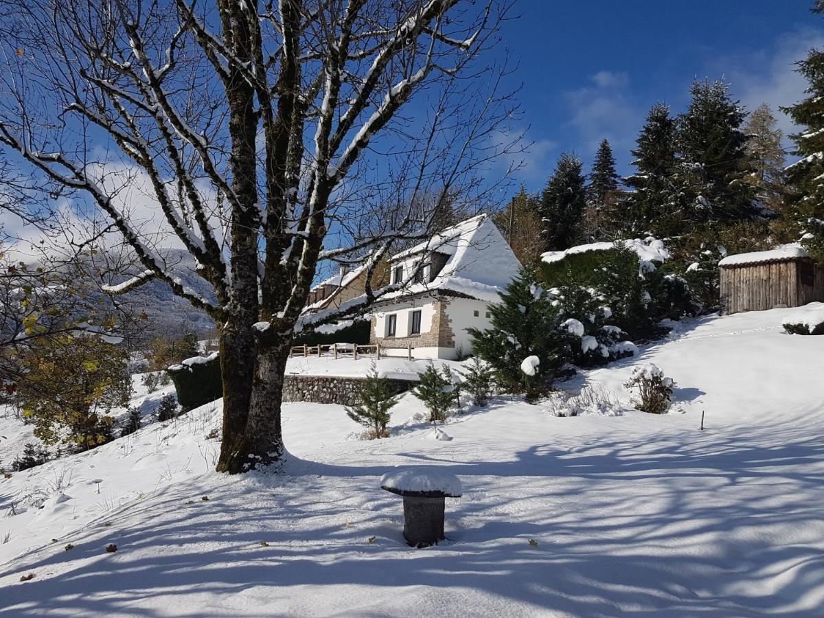 Chalet Avec Vue Panoramique Sur Le Plomb Du Cantal Villa Saint-Jacques-des-Blats Exterior photo